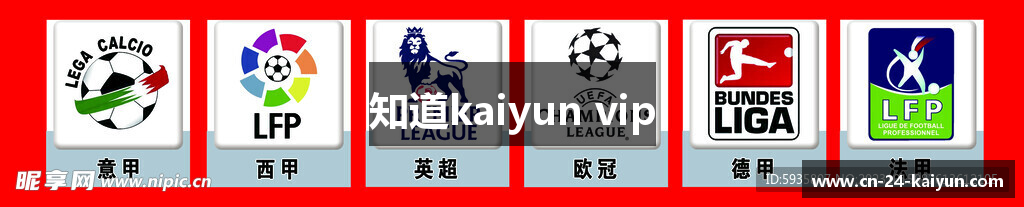 知道kaiyun vip